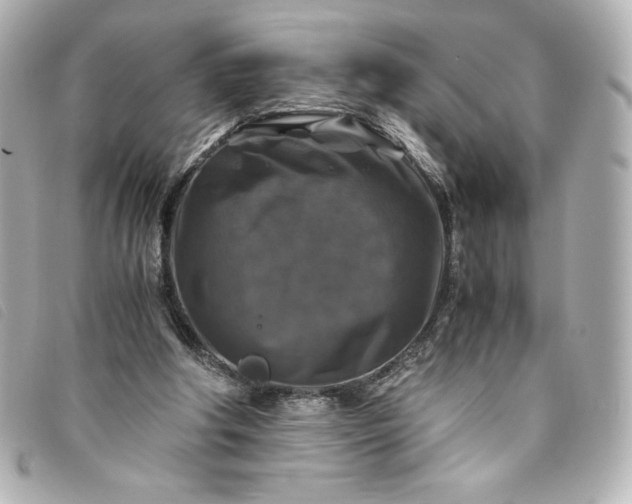 X0000093490202200710261123