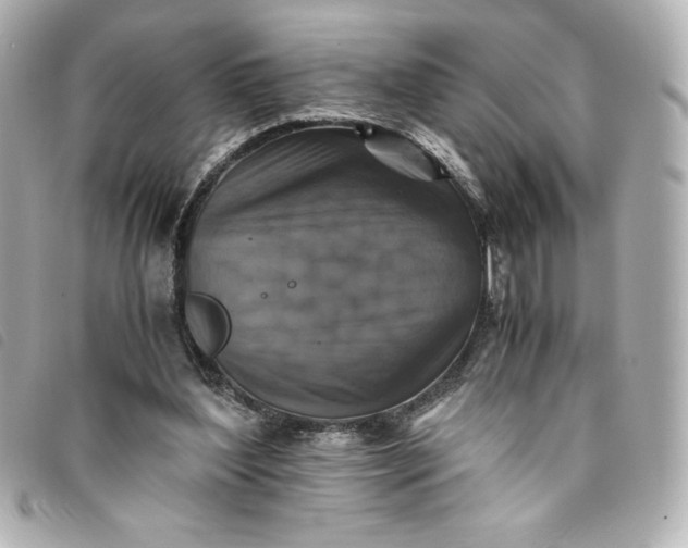 X0000093490204200710261123