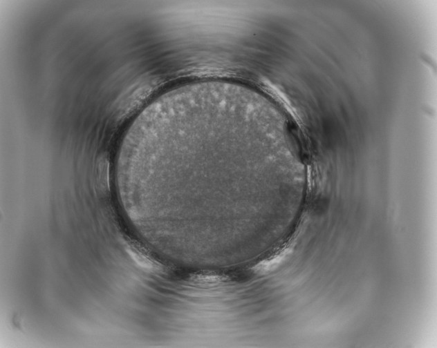 X0000093490205200710261123