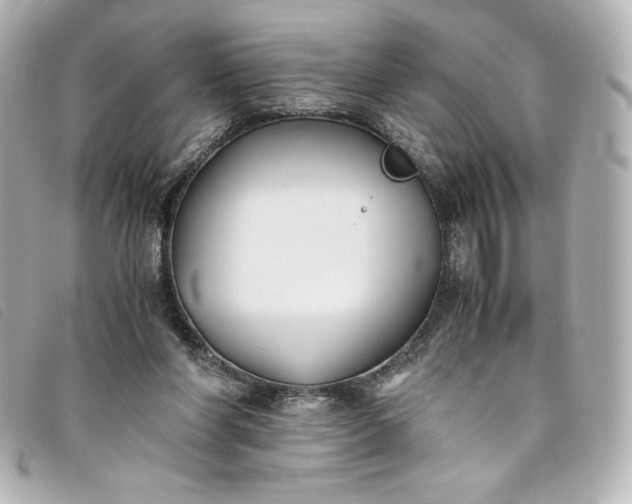 X0000093490206200710261123