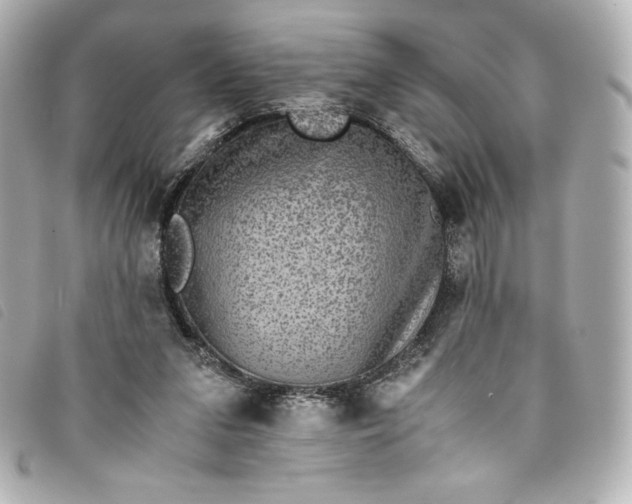 X0000093490207200710261123