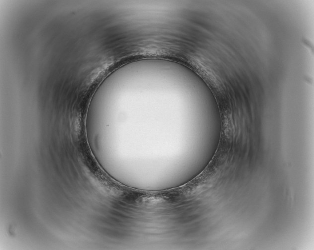 X0000093490208200710261123