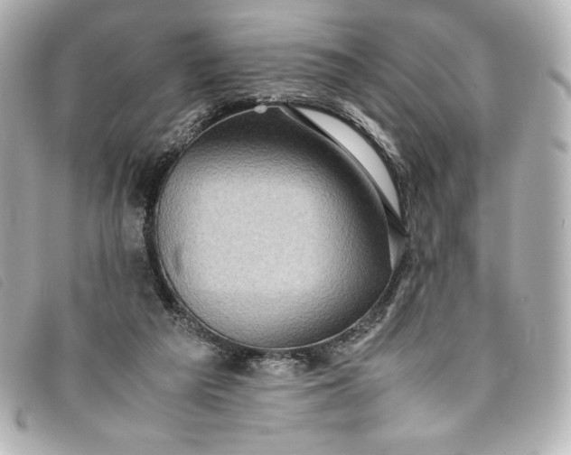 X0000093490209200710261123