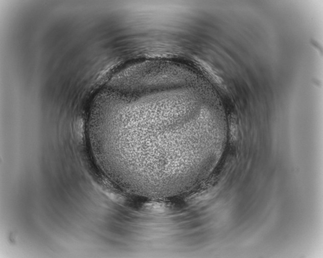 X0000093490211200710261123