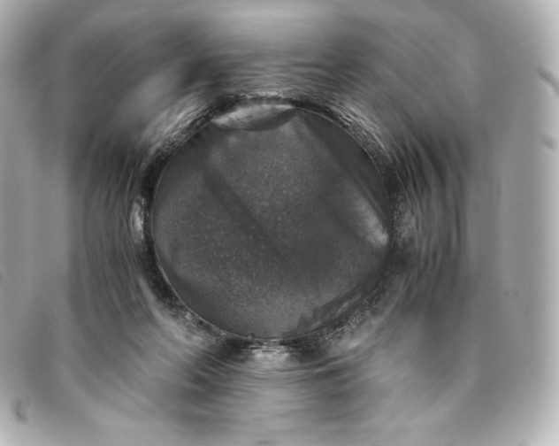 X0000093490214200710261123