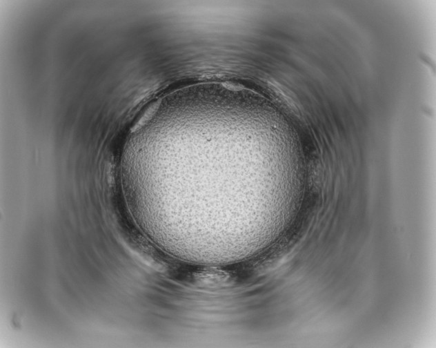 X0000093490215200710261123