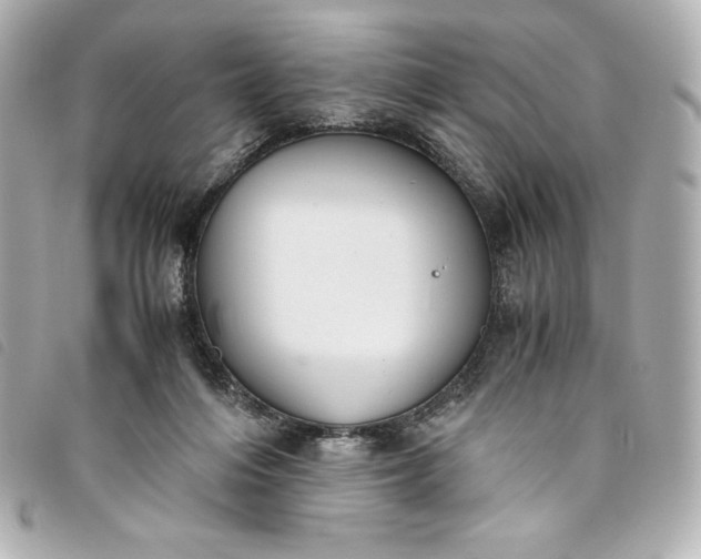 X0000093490216200710261123