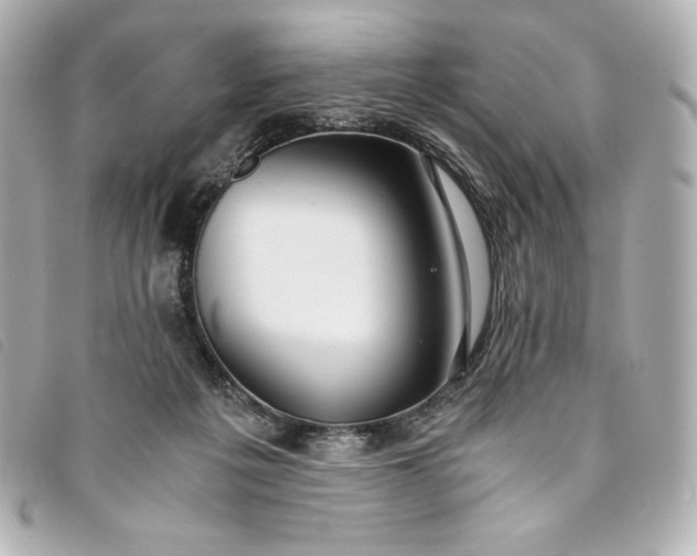 X0000093490217200710261123