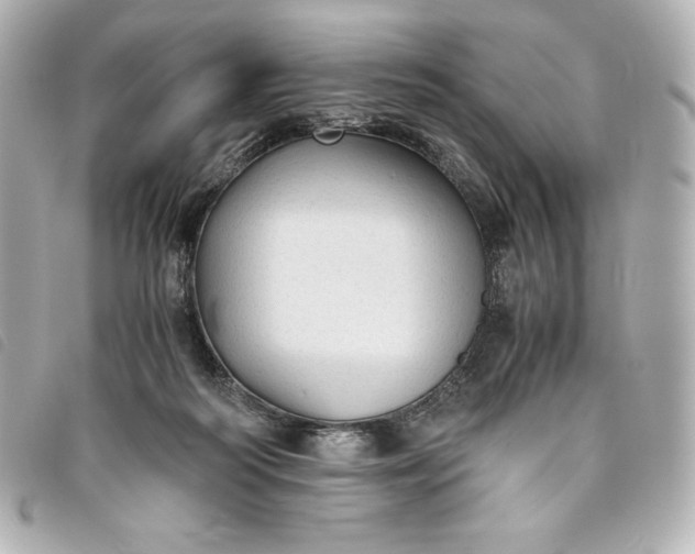 X0000093490218200710261123