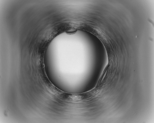 X0000093490221200710261123