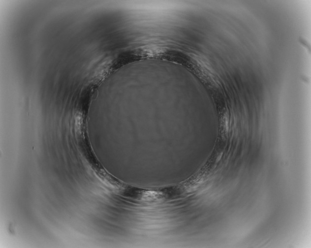 X0000093490222200710261123