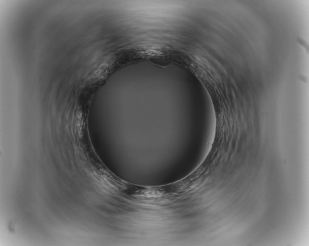 X0000093490223200710261123