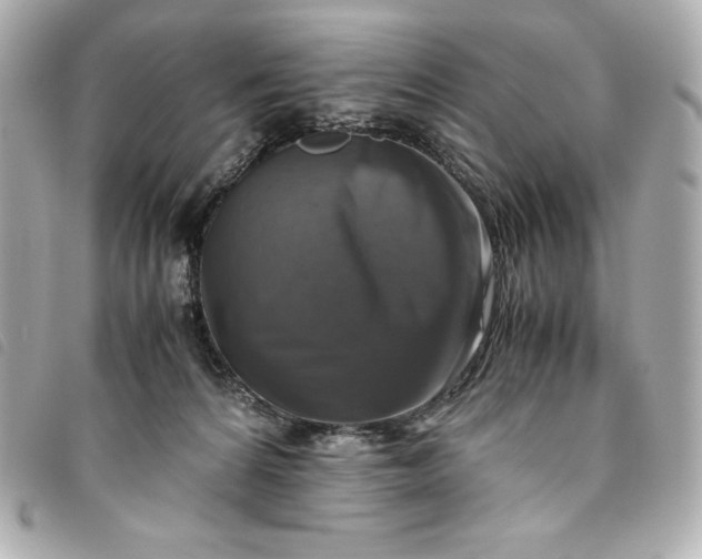 X0000093490224200710261123