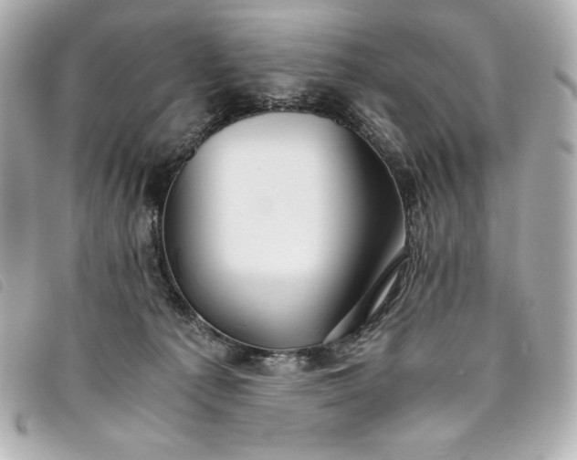 X0000093490225200710261123