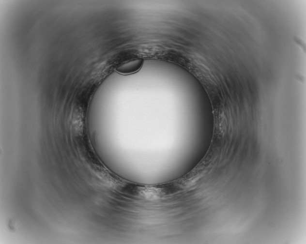 X0000093490226200710261123