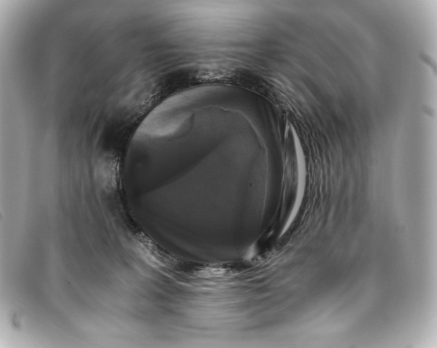 X0000093490227200710261123