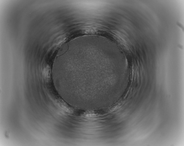 X0000093490228200710261123