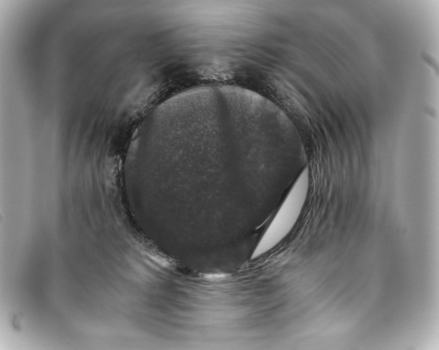 X0000093490229200710261123