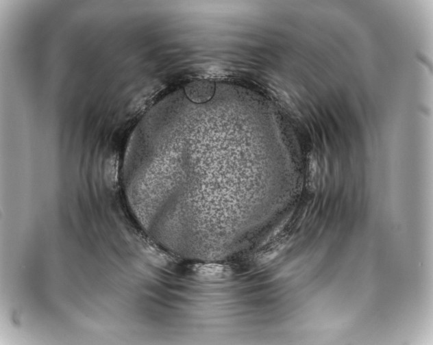 X0000093490230200710261123