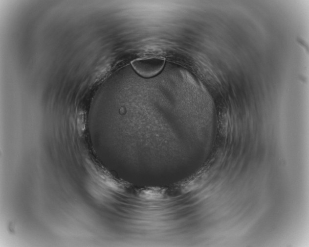 X0000093490232200710261123