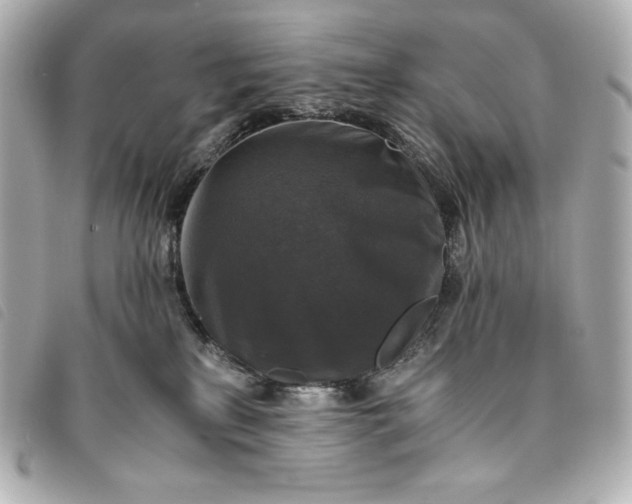 X0000093490233200710261123