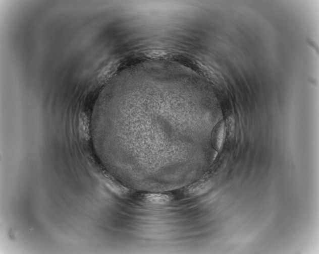 X0000093490234200710261123