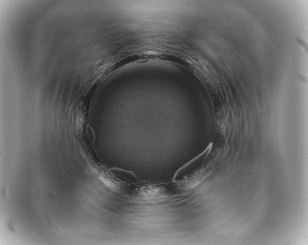 X0000093490235200710261123