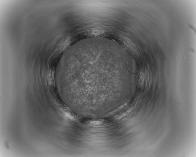 X0000093490236200710261123