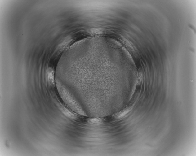 X0000093490238200710261123