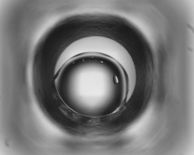 X0000093490239200710261123