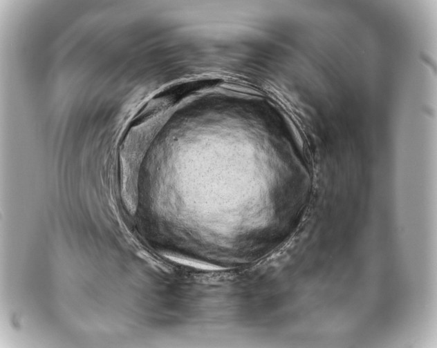 X0000093490241200710261122