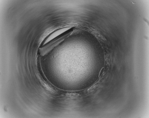 X0000093490242200710261122