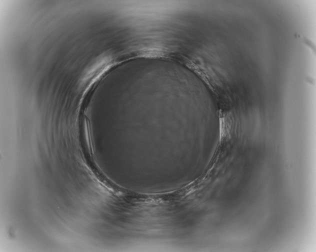 X0000093490243200710261122