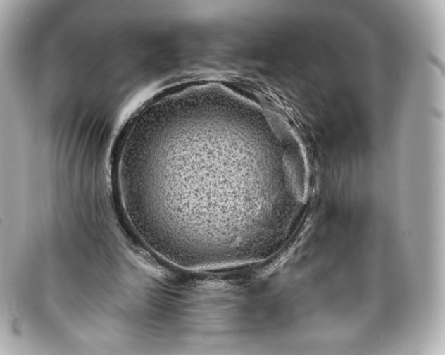 X0000093490246200710261122