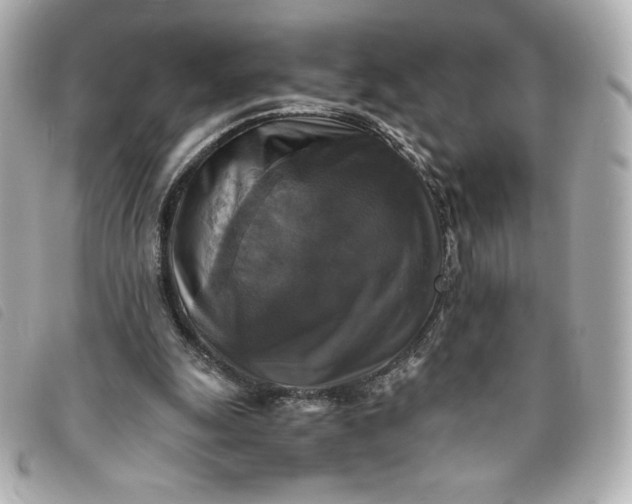 X0000093490247200710261122