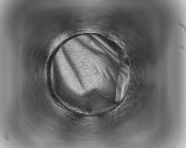 X0000093490248200710261122