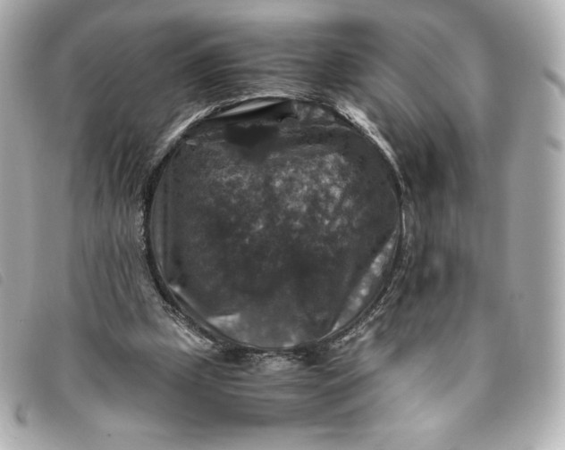 X0000093490249200710261122