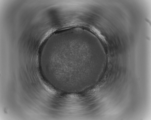 X0000093490250200710261122