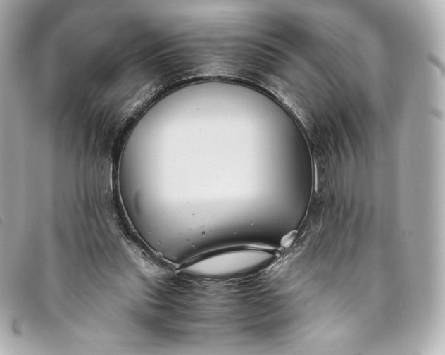 X0000093490253200710261122