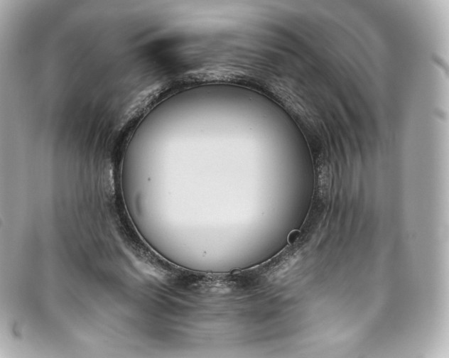 X0000093490254200710261122