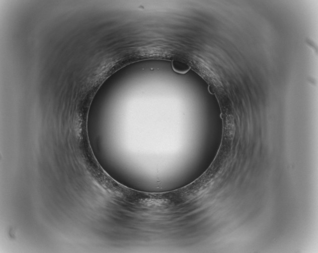 X0000093490255200710261122