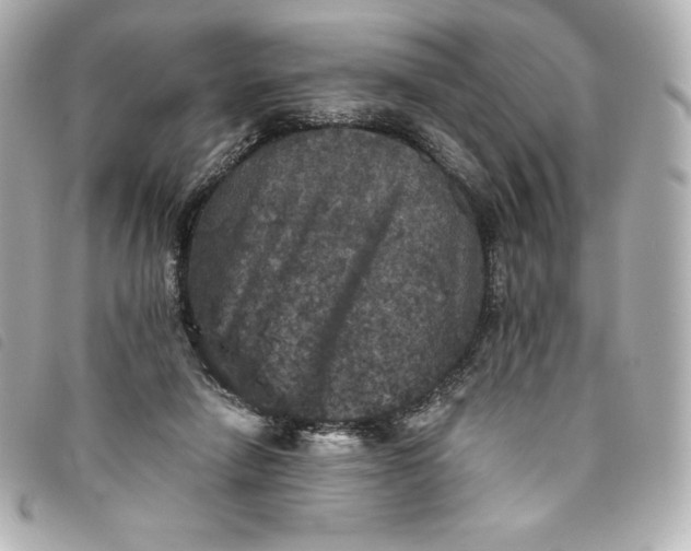 X0000093490258200710261122