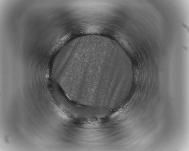 X0000093490260200710261122