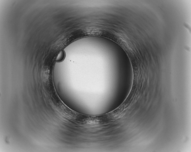 X0000093490263200710261122