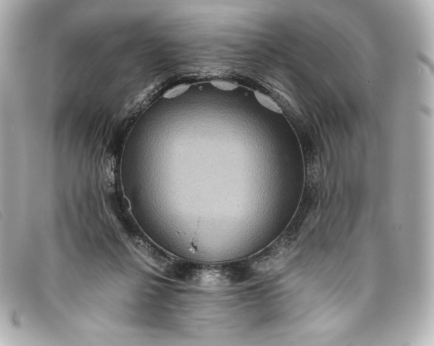 X0000093490264200710261122