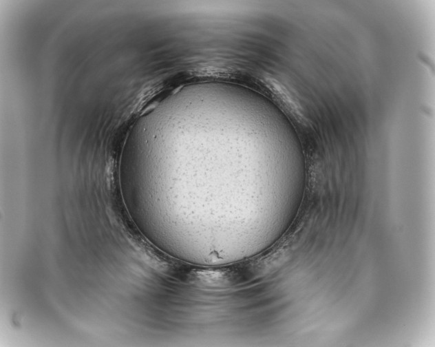 X0000093490265200710261122