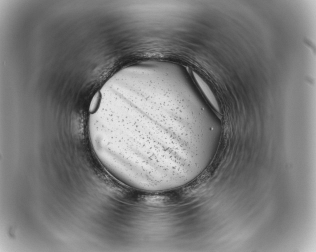 X0000093490268200710261123