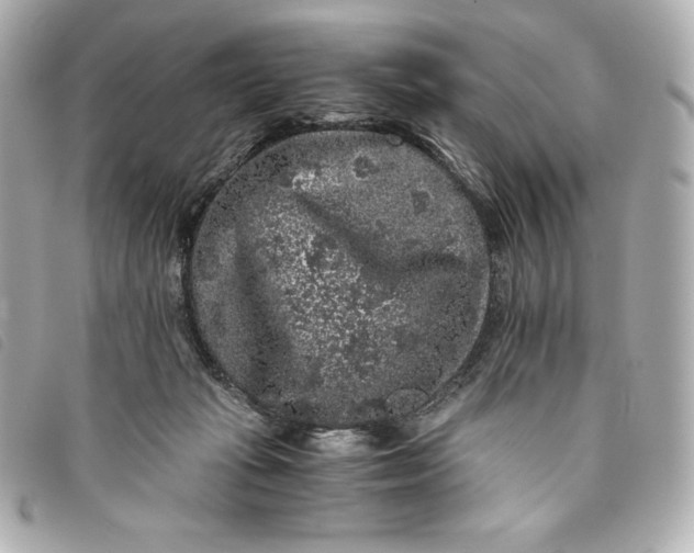 X0000093490269200710261123