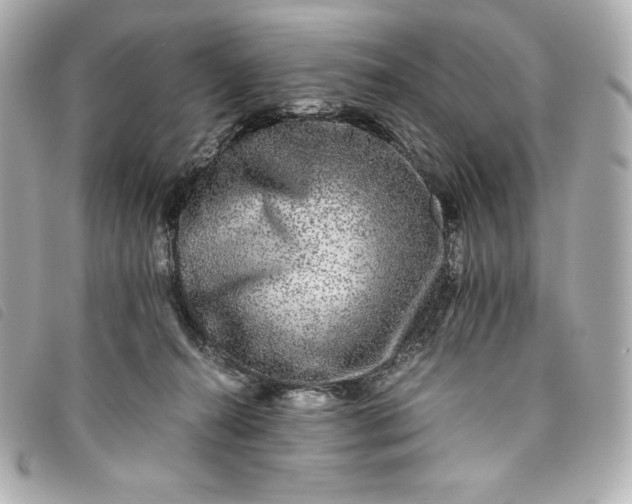 X0000093490272200710261123