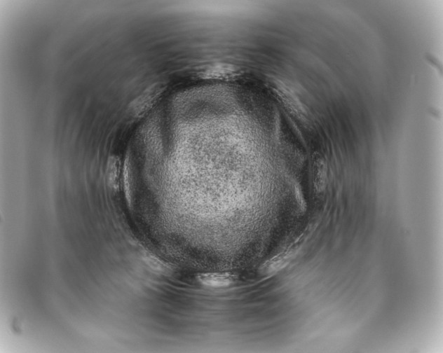 X0000093490273200710261123